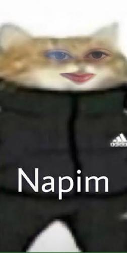 Gizemli Kutu BAK#Snake